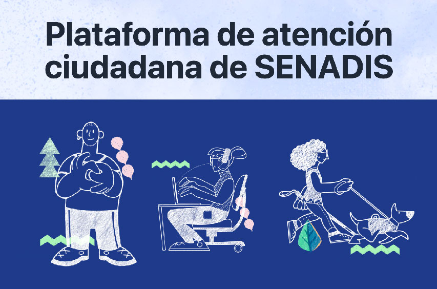 Gráfica Plataforma de Atención Ciudadana de Senadis